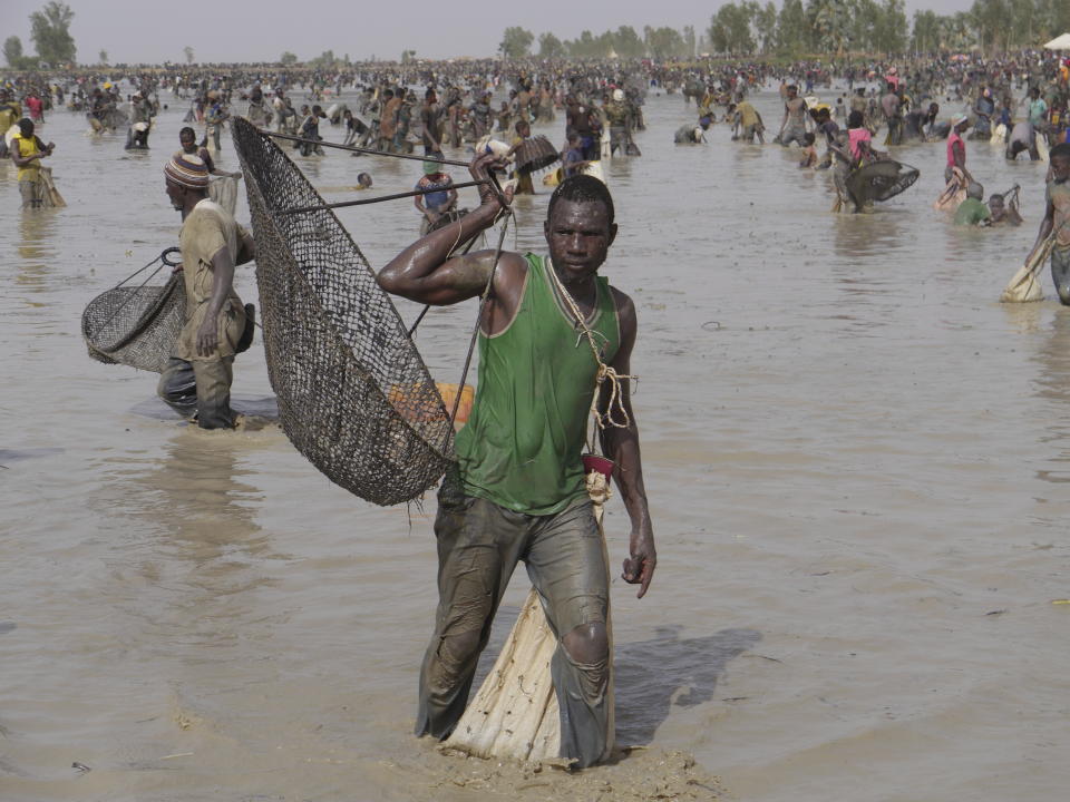 Miles de pescadores llenan un gran estanque enlodado y lanzan sus redes al agua en la localidad de San, en el sur de Malí, el 6 de junio de 2024, para el Snaké mon, un rito colectivo de pesca que comienza con sacrificios de animales y ofrendas a los espíritus del agua del estanque de Sanké. (AP Foto/Moustapha Diallo)