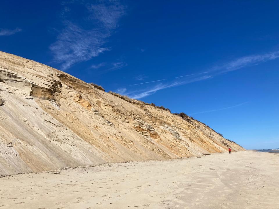 The crumbling sand cliffs along the backshore in Wellfleet.