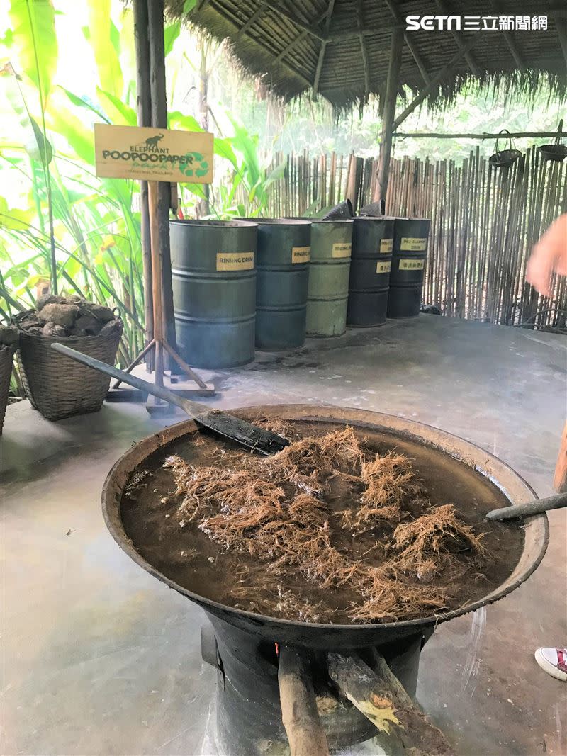 大象便便造紙公園有解說員導覽再生原理.經煮沸滅菌後製成再生紙