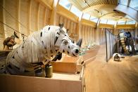 Animals that are made out of recycled material are on display at the interactive exhibit about the story of Noah's Ark, at the Jewish Museum in Berlin, Germany, Monday, June 21, 2021. The Jewish Museum of Berlin is opening a new museum for children between the ages of three and ten.(AP Photo/Markus Schreiber)