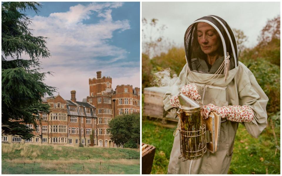 The Birch Selsdon, beekeeping