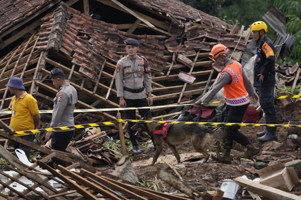 A police officer leads a sniffer dog during the search for victims in a village hit by an earthquake-triggered landslide in Cianjur, West Java, Indonesia, Thursday, Nov. 24, 2022. On the fourth day of an increasingly urgent search, Indonesian rescuers narrowed their work Thursday to the landslide where dozens are believed trapped after an earthquake that killed hundreds of people, many of them children. (AP Photo/Tatan Syuflana)