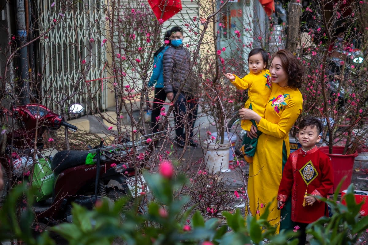 Tet is the Vietnamese new year festival (Getty Images)