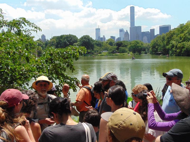 Vier Stunden führt Steve Brill die Touristen durch den Central Park. Dabei fällt der Blick auch auf die Wolkenkratzer der Stadt. Foto: Thorben Rath