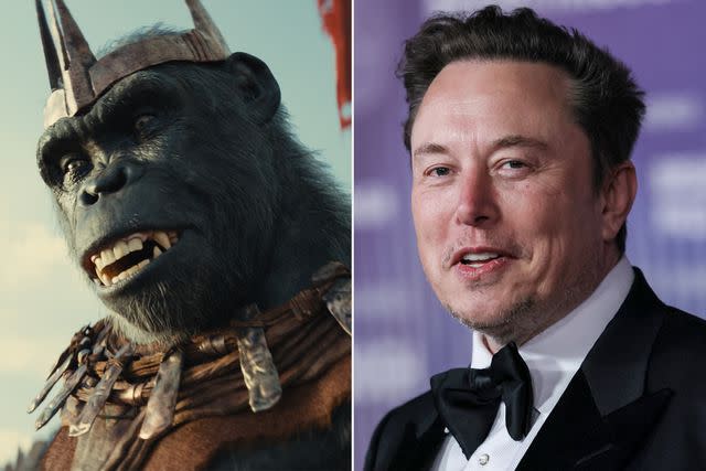 <p>courtesy of 20th Century Studios; ETIENNE LAURENT/AFP via Getty</p> Proximus Caesar (Kevin Durand) from 'Kingdom of the Planet of the Apes' and Elon Musk