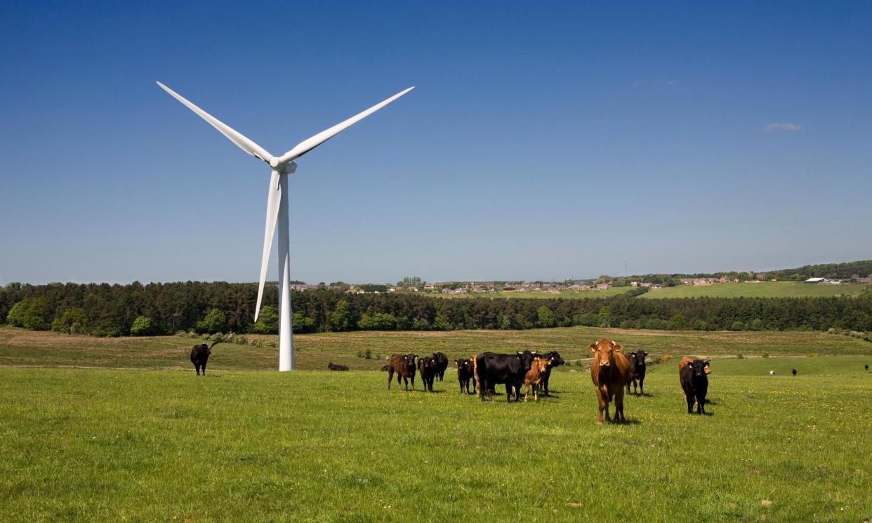 <span>NSW has committed to barely a third of the renewables it needs to meet its 2030 targets.</span><span>Photograph: Washington Imaging/Alamy</span>