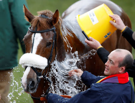 Horse Racing - Cheltenham Festival - Cheltenham Racecourse, Cheltenham, Britain - March 16, 2018 Native River is cooled off after winning the 15.30 Timico Cheltenham Gold Cup Chase REUTERS/Darren Staples