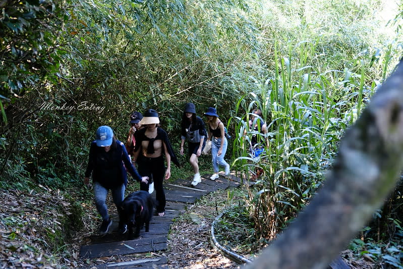 嘉義阿里山｜二延平步道