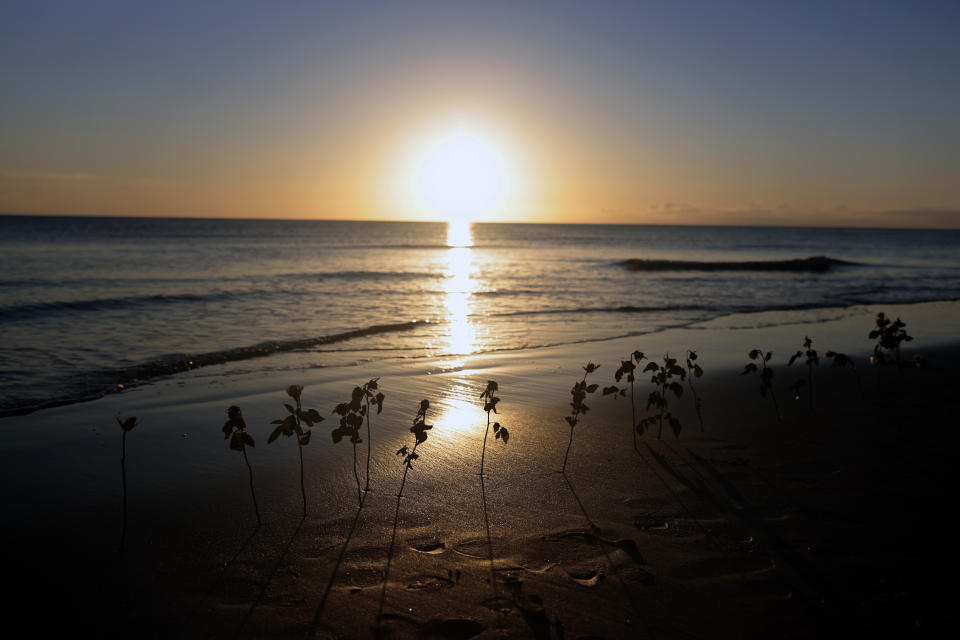 Flowers and roses left by veterans and World War II reenactors are silhouetted at dawn on Omaha Beach in Saint-Laurent-sur-Mer, Normandy, France Monday, June 6, 2022, the day of 78th anniversary of the assault that helped bring an end to World War II. (AP Photo/Jeremias Gonzalez)