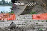 The dried up River Po suffering from the worst drought in 70 years