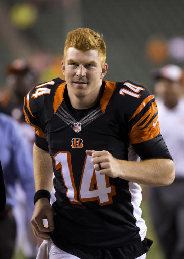 Bengals quarterback Andy Dalton (Aaron Doster-USA TODAY Sports )