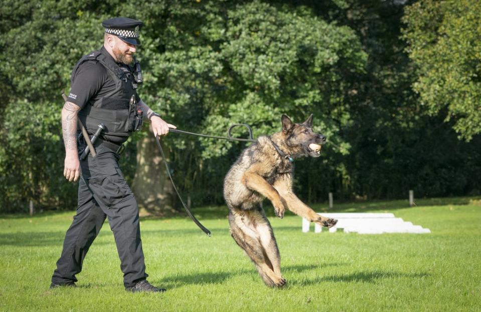 Pc David McIntyre training with Rudi the dog (Jane Barlow/PA) (PA Wire)