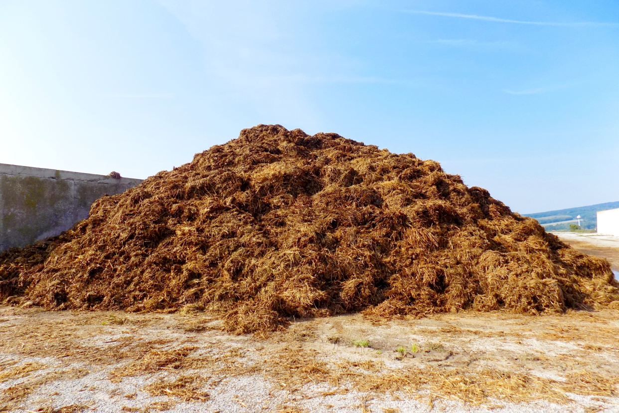 Large pile of manure