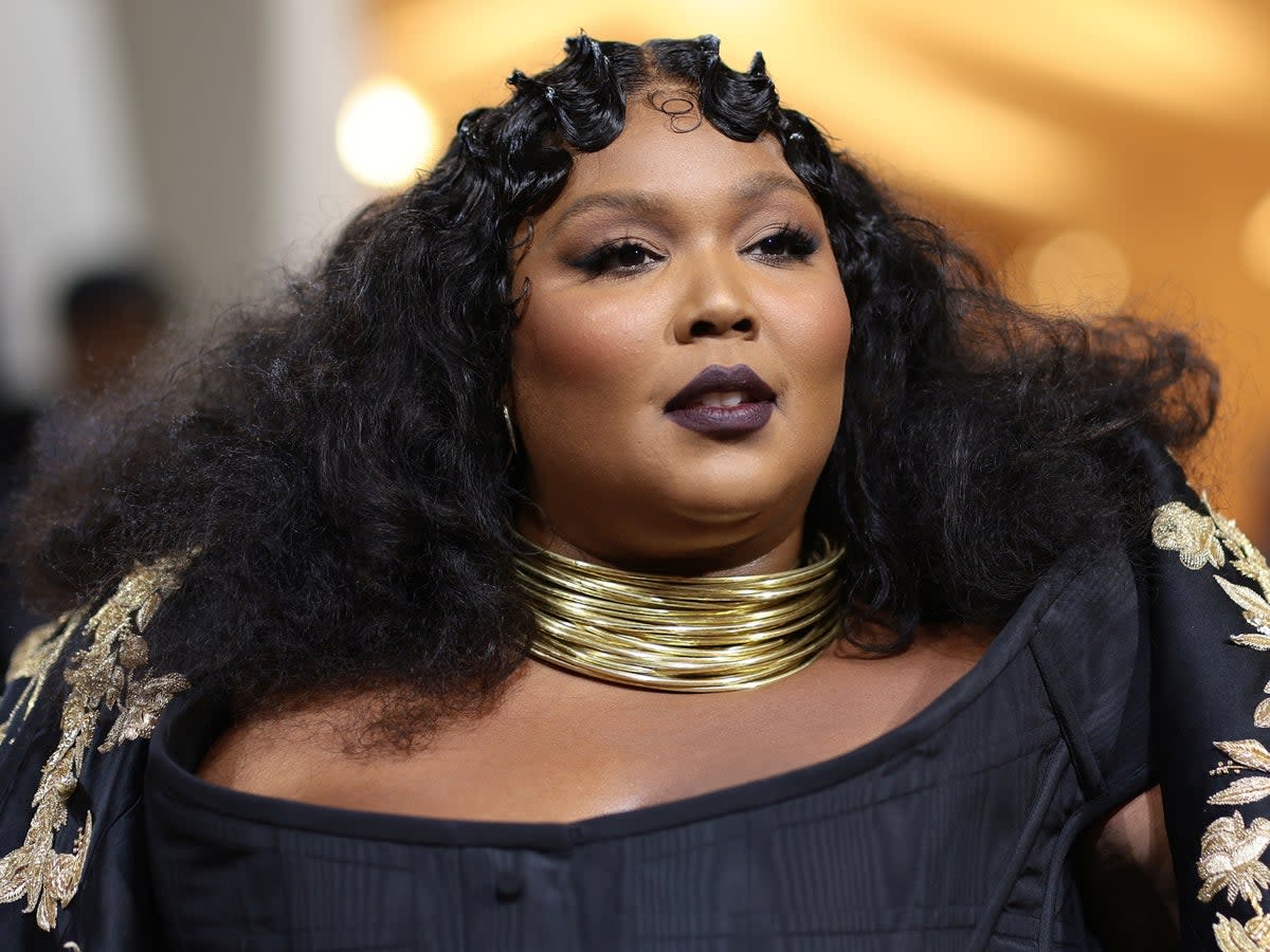 Lizzo will donate proceeds from her upcoming tour (Getty Images for The Met Museum/)