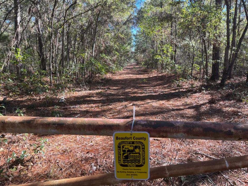 Pineview Preserve is 110 acres of upland and wetland forests with scattered freshwater depression marshes. It is located off Sams Point Road on Lady’s Island, adjacent to Rock Springs Creek. A Beaufort mountain biking group would like the county to consider a mountain bike trail here.