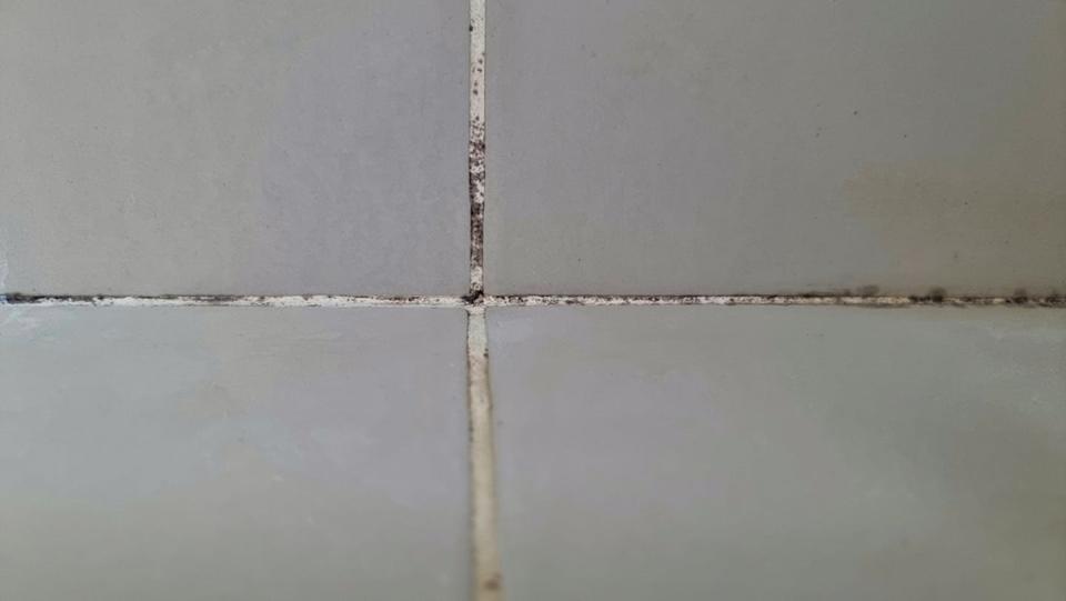 The mould colonising the grout in your shower is unlikely to be toxic. In fact, you can kill it with bleach, but the harmless pigment may linger behind. <a href="https://www.shutterstock.com/image-photo/black-green-mold-growing-on-shower-1999288574" rel="nofollow noopener" target="_blank" data-ylk="slk:Shutterstock;elm:context_link;itc:0;sec:content-canvas" class="link ">Shutterstock</a>