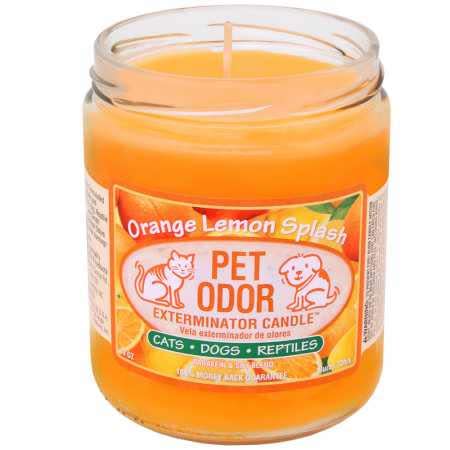 Pet Odor Exterminator Candle Orange Lemon Splash Jar (13 oz) (Amazon / Amazon)
