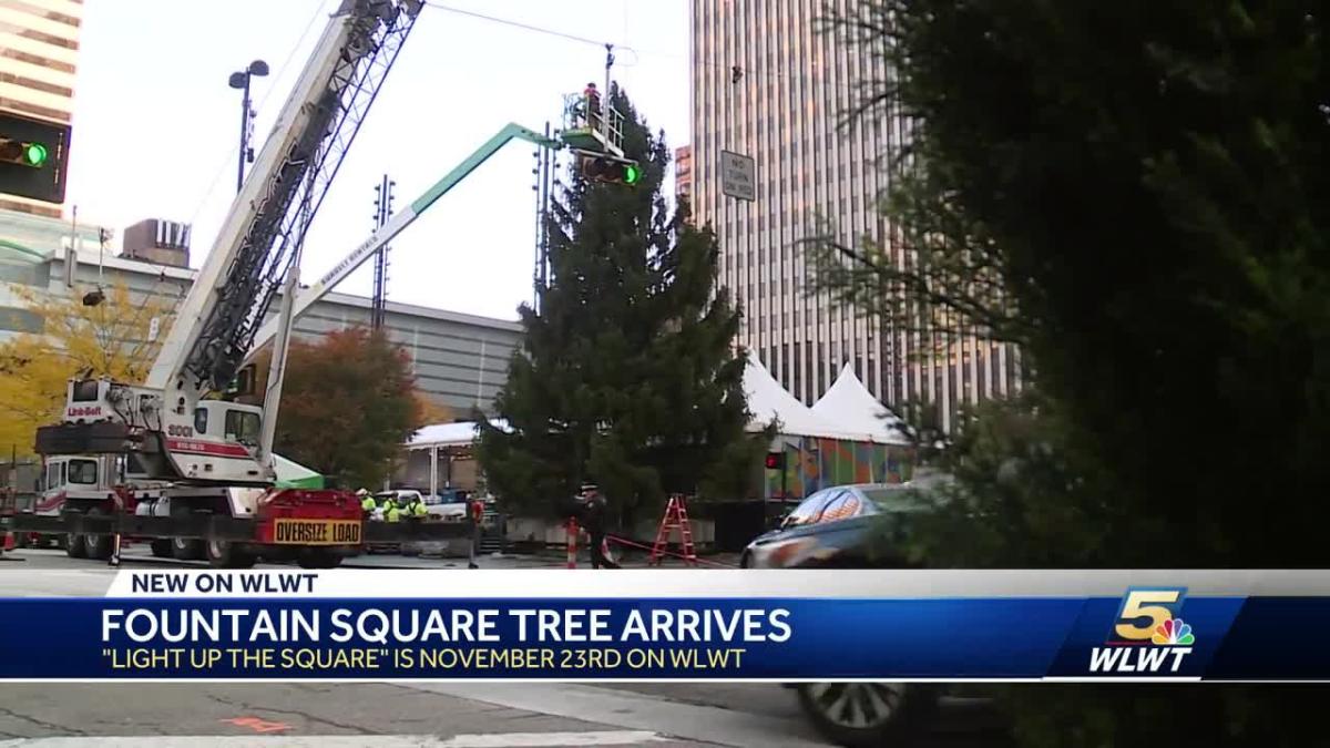Fountain Square tree arrives