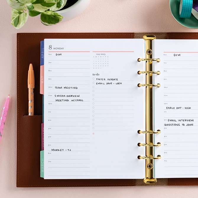 Erin Condren Daily LifePlanner Ring Agenda