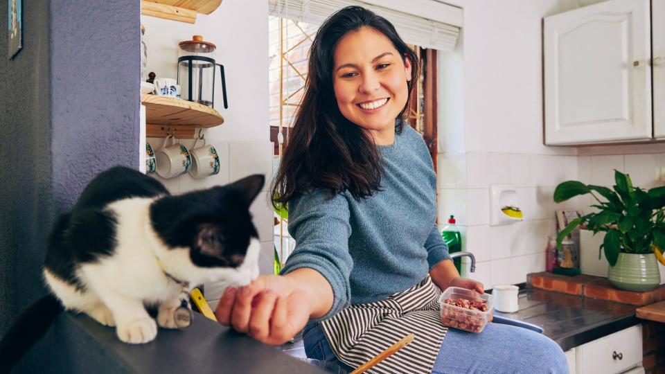 a smiling woman feeds her cat a treat while wearing an apron