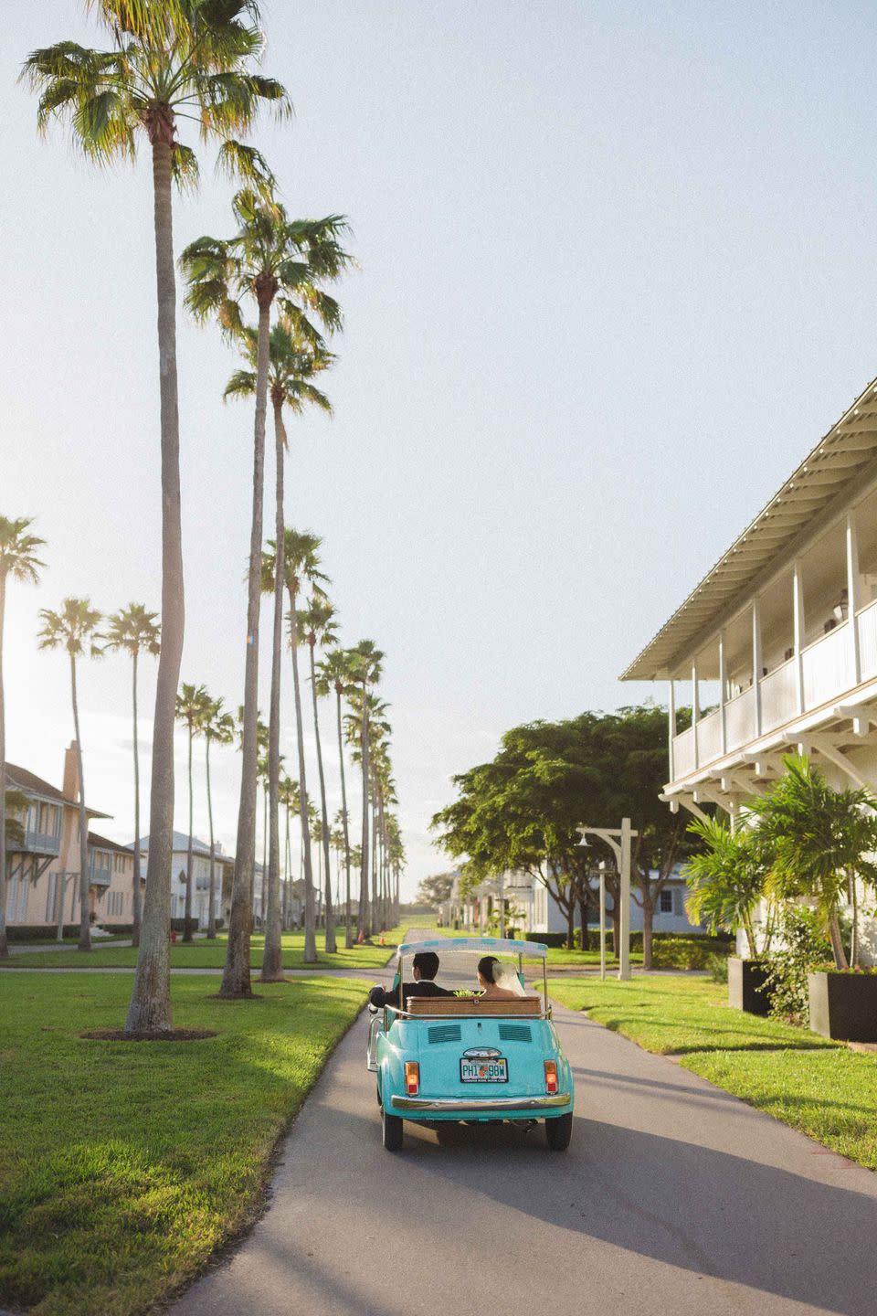 a car driving down a road with palm trees on either side of it