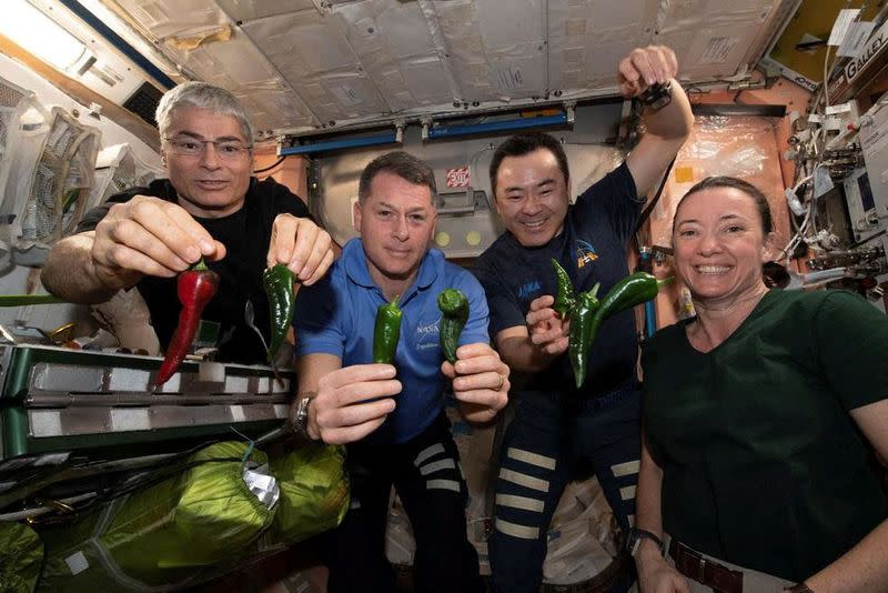 NASA looks to spice up astronaut menu with deep space food production