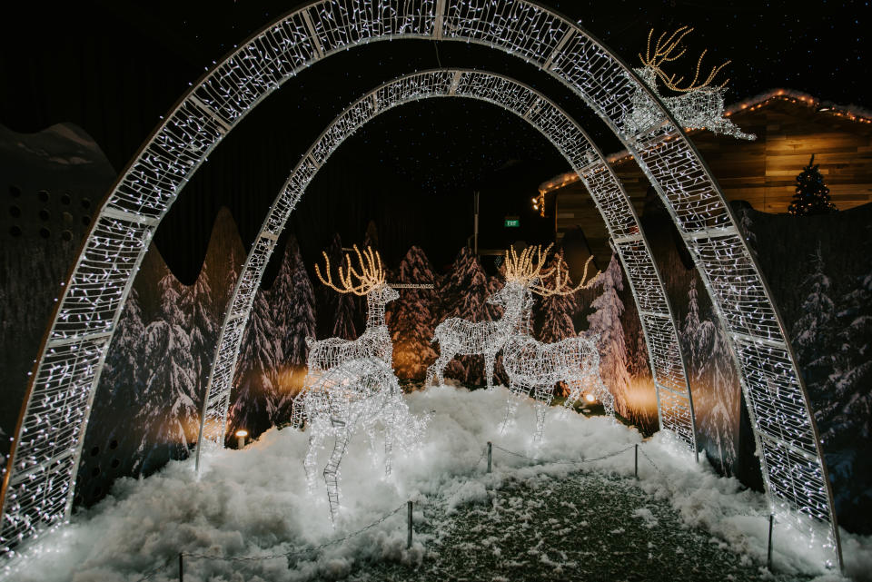 Christmas lights in Singapore. (Photo: Gardens by the Bay)