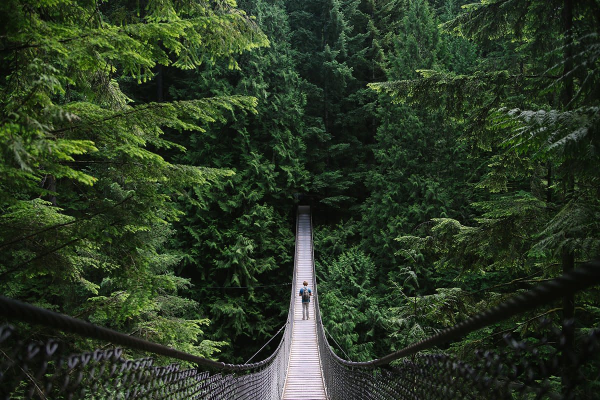 A young fit man explores the wilderness.