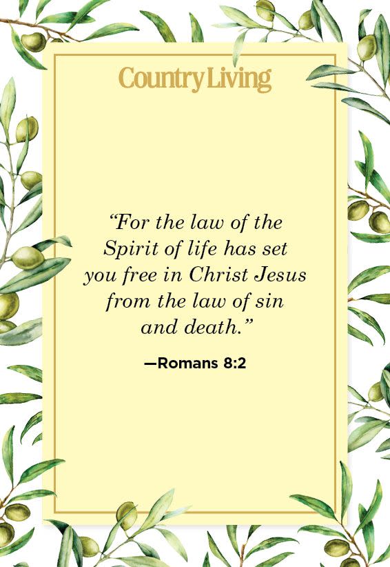 <p>“For the law of the Spirit of life has set you free in Christ Jesus from the law of sin and death.”</p>