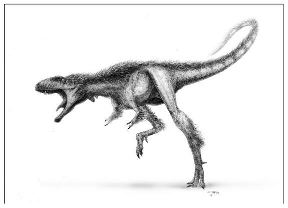 After a fossil collector donated this skeleton, paleontologist Paul Sereno described it as a new species of tiny tyrannosaur called <em>Raptorex</em>.