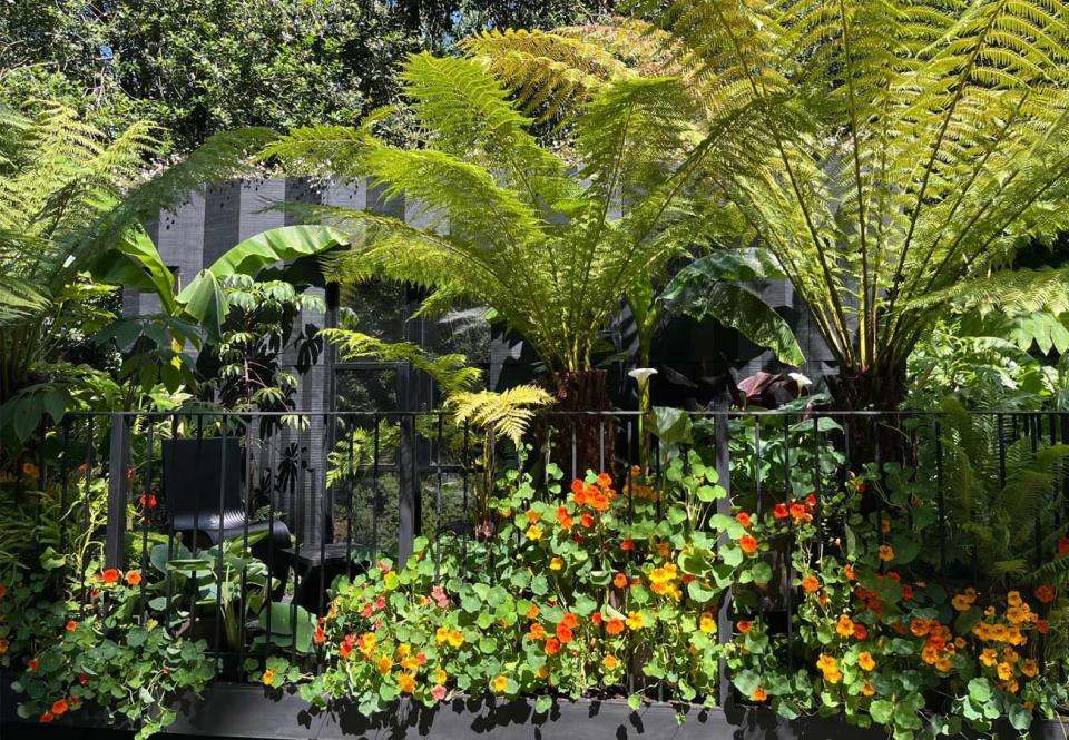 chelsea flower show winners