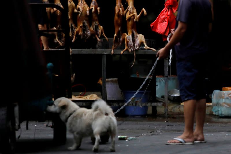 FILE PHOTO: A man walks with his pet dog as he talks to a vendor during the local dog meat festival in Yulin