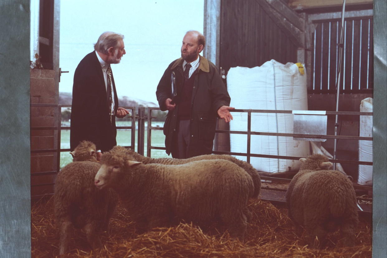 Dolly, The First Cloned Sheep  (Photo by Mathieu Polak/Sygma via Getty Images)