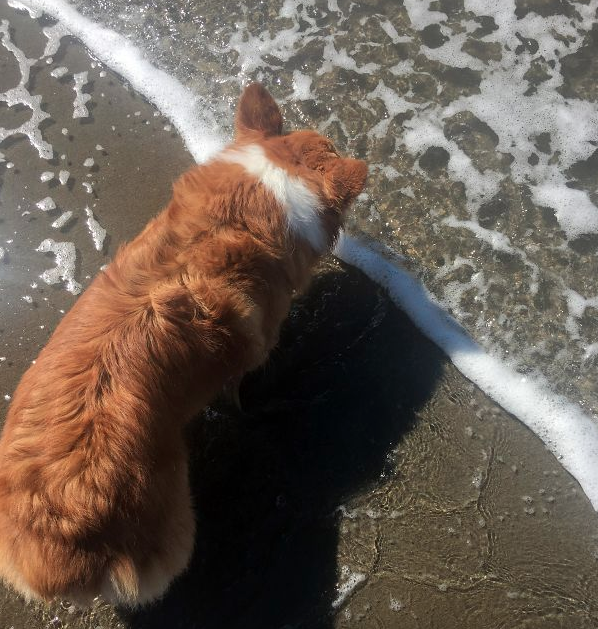 De paseo por la playa