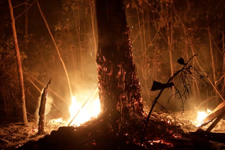 A tract of the Amazon jungle burns as it is cleared by loggers and farmers in Porto Velho