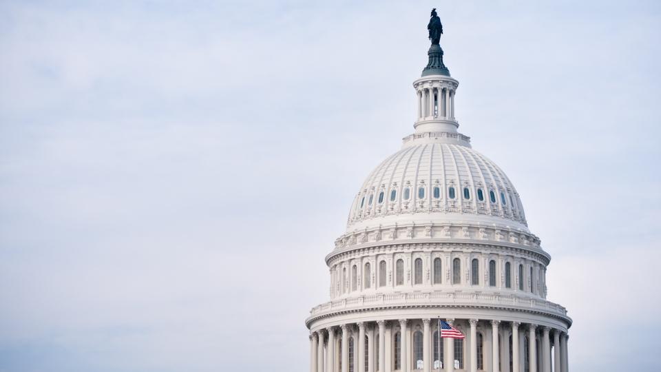 "The United States Capitol in Washington DC, USA.