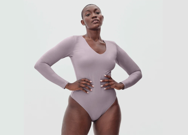 The Long-Sleeve V-Neck Bodysuit