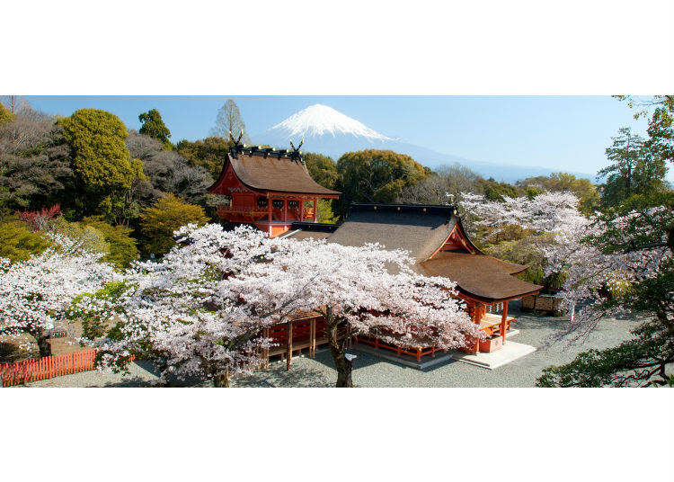 富士山本宮淺間大社（靜岡縣富士宮市）