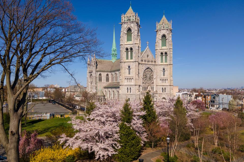 Cherry blossoms in Branch Brook Park and the Cathedral Basilica of the Sacred Heart church are in Newark, New Jersey, on Monday, April 10, 2023.