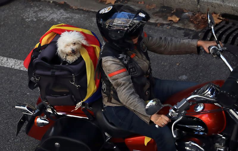 Catalonia's national day 'La Diada' in Barcelona