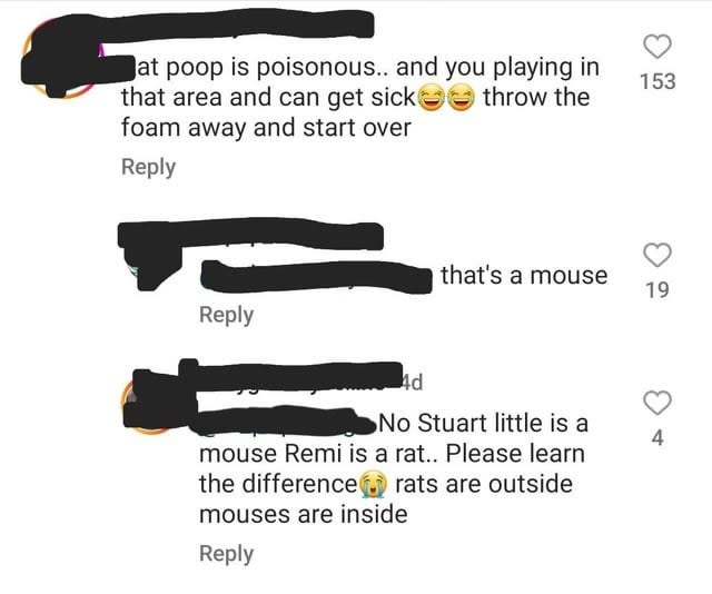 "rates are outside mouses are inside"