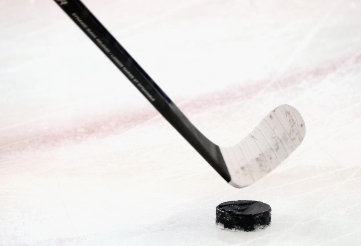 Five teams from the Alberta Junior Hockey League are set to move to the independent British Columbia Hockey League next season, the BCHL said in a news release. (Bruce Bennett/Getty Images - image credit)