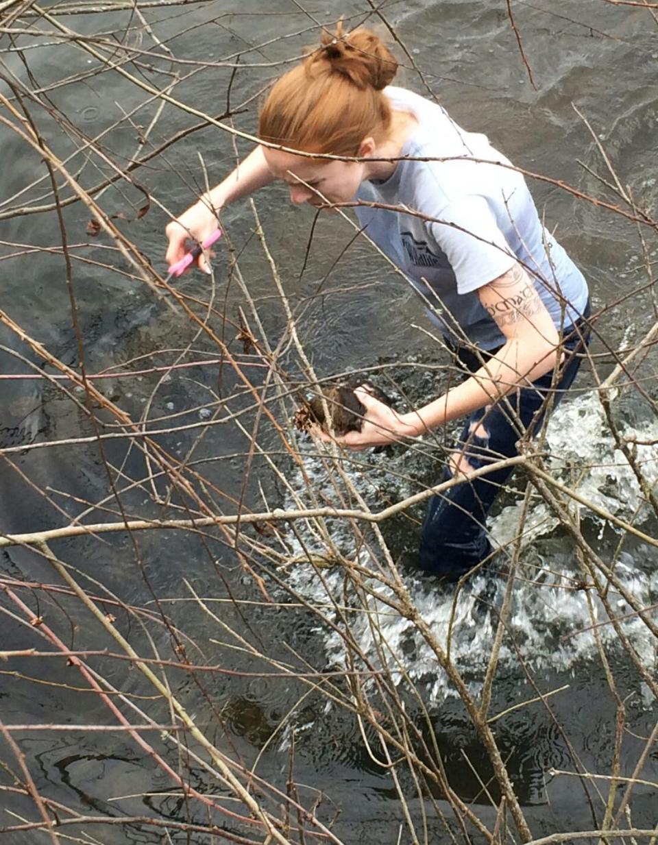 Emily Brann rescues a pied-billed grebe entangled in a fishing net at AJ Henry Park.