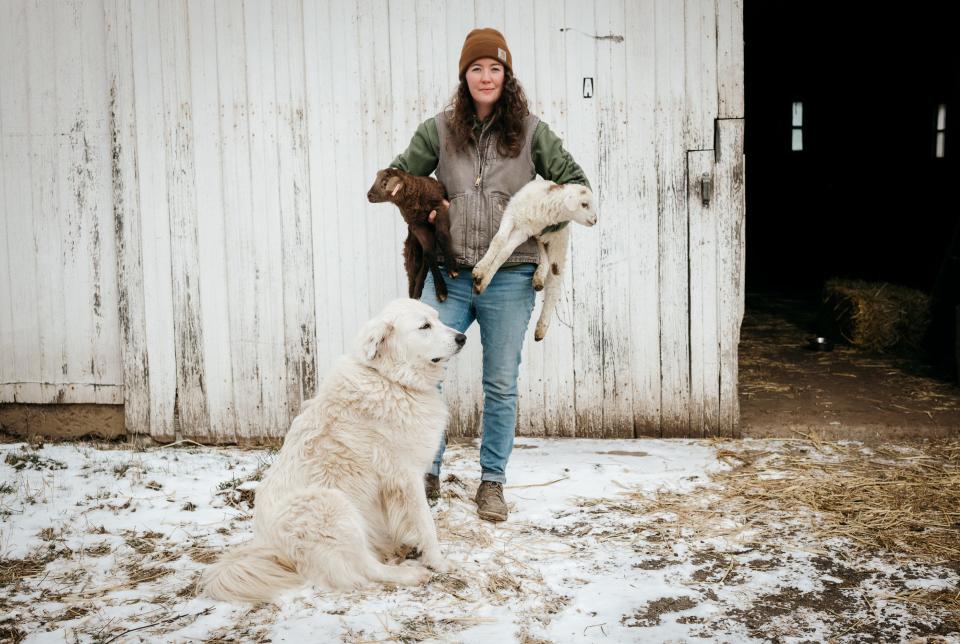 Rachel Wagoner holds newly born lambs on Jan. 18, 2024, at her family's farm in Darlington, Pa. Sitting beside her is Kali, a Great Pyrenees and one of the farm's livestock guardian dogs.