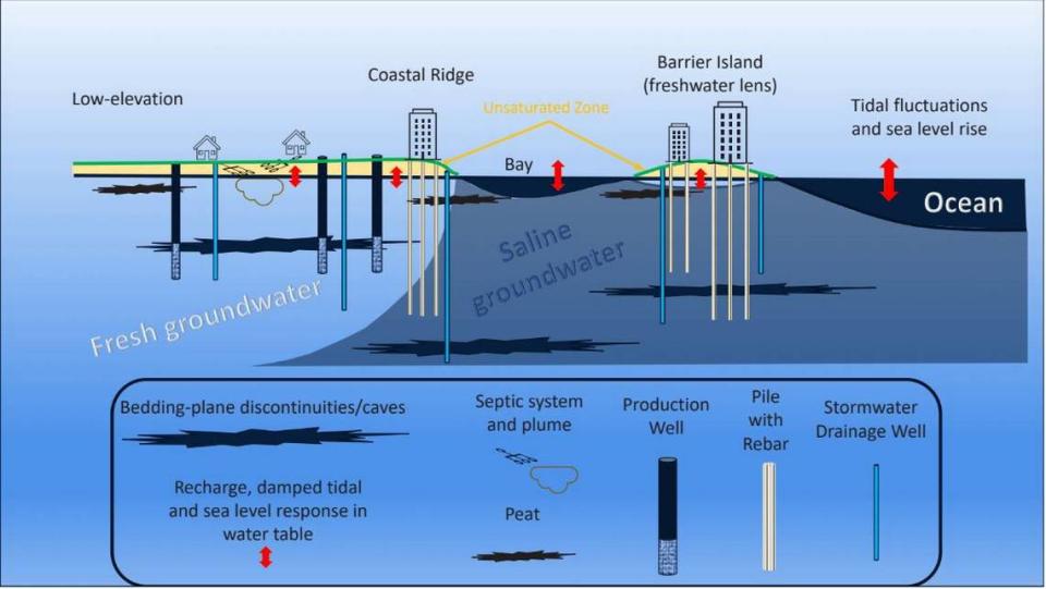 Un gráfico que muestra cómo creemos que será el subsuelo del sur de la Florida con el ascenso del nivel del mar y los profundos pilotes de cimentación de los altos edificios costeros.