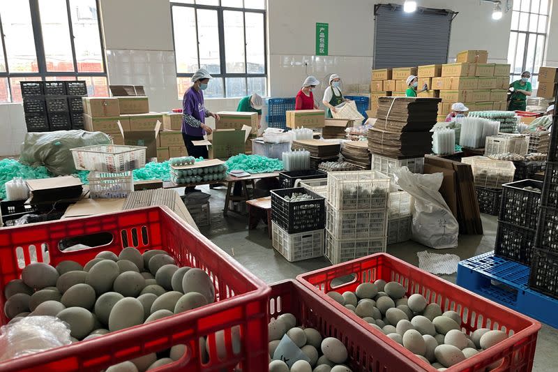 Duck egg products factory in Ruichang