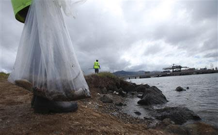 An environmental cleanup crew member holds a bag of dead marine life in Keehi Lagoon after a massive molasses spill from a Matson cargo ship in Honolulu, Hawaii, September 12 ,2013. REUTERS/Hugh Gentry