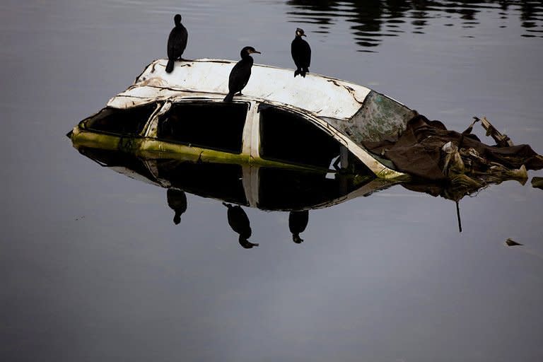 Birds sit on a wrecked car submerged in a river amid the tsunami devastation in Kesennuma, Miyagi prefecture in April 2011. The deadly 9.0-magnitude quake that struck off northeastern Japan on March 11 ruptured a relatively small part of a notorious fault that straddles the Pacific seabed, Japanese scientists reported on Wednesday