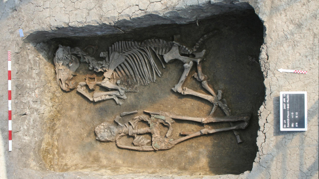  Skeletal remains of a man and a horse shown in a deep, rectangular burial site. 