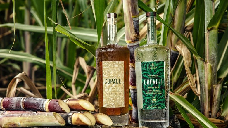 Copalli Rum bottles surrounded by sugarcane